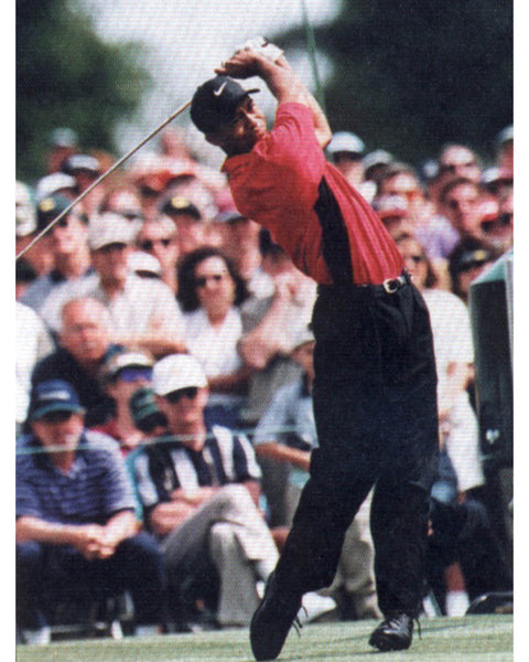 Tiger Woods Swing - VV27